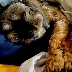 Meet your Posher, Michelle